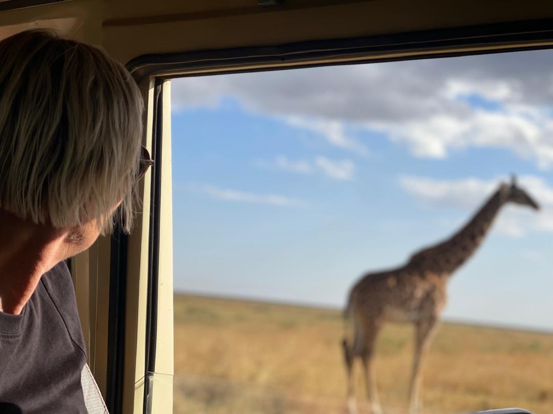 Nairobi City Tours & Urban Adventures