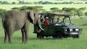 Best Kenya Tours for 2026-2027