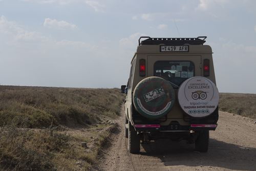 Time for Gorilla Trekking Safari Tours in Uganda