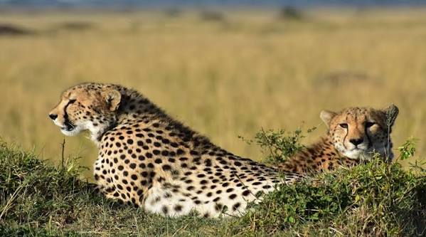 manyara with Africa Tour Radar safari jeep