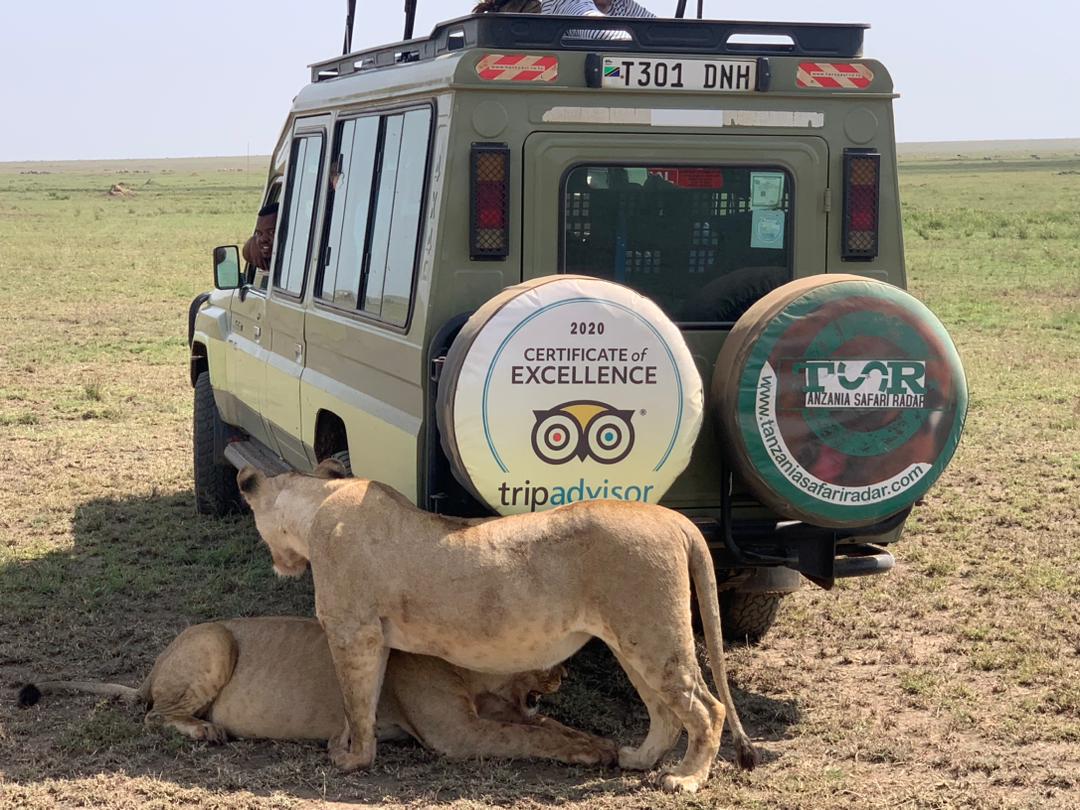 Ruaha national park safari tour